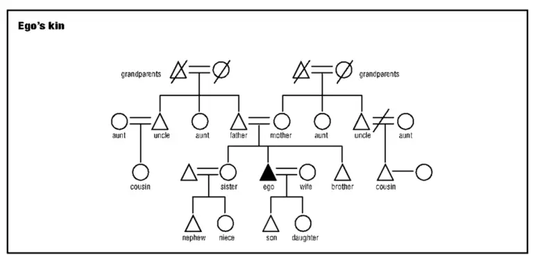 kinship-meaning-types-degree-importance-descent-lineage