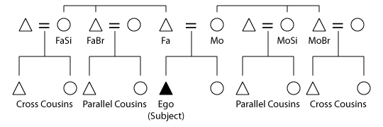 parallel-and-cross-cousins-concepts-and-meaning