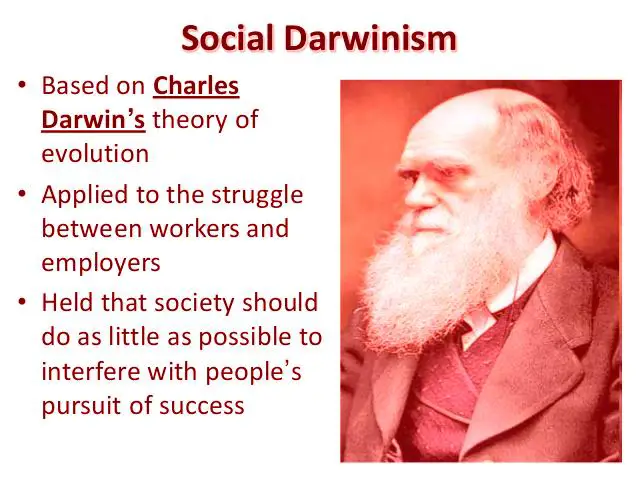 essay about social darwinism