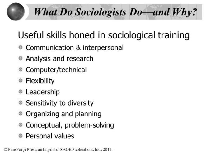 what-do-sociologists-do